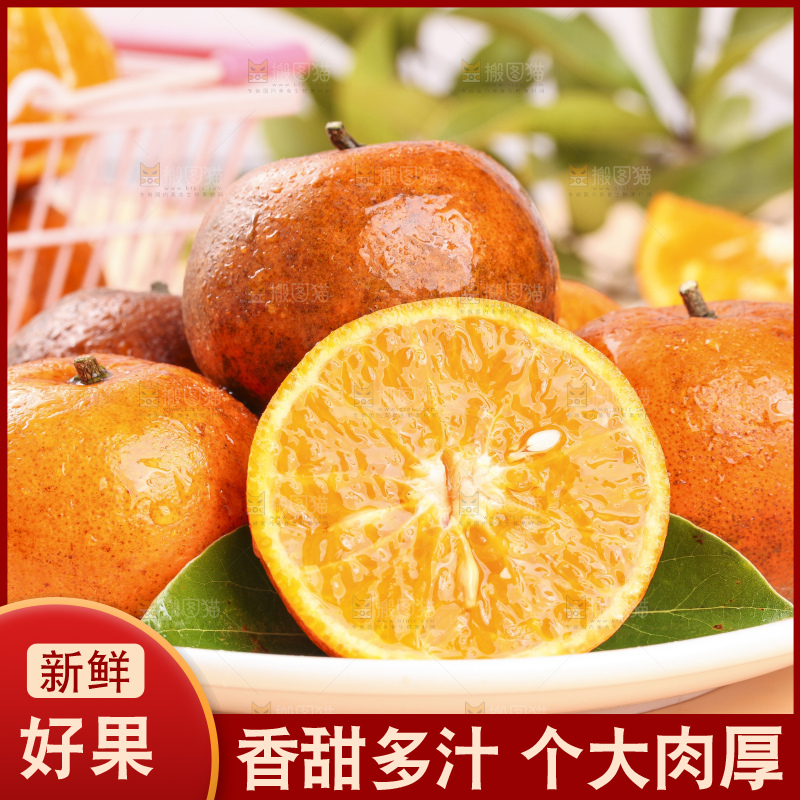 浅底上的乌柑