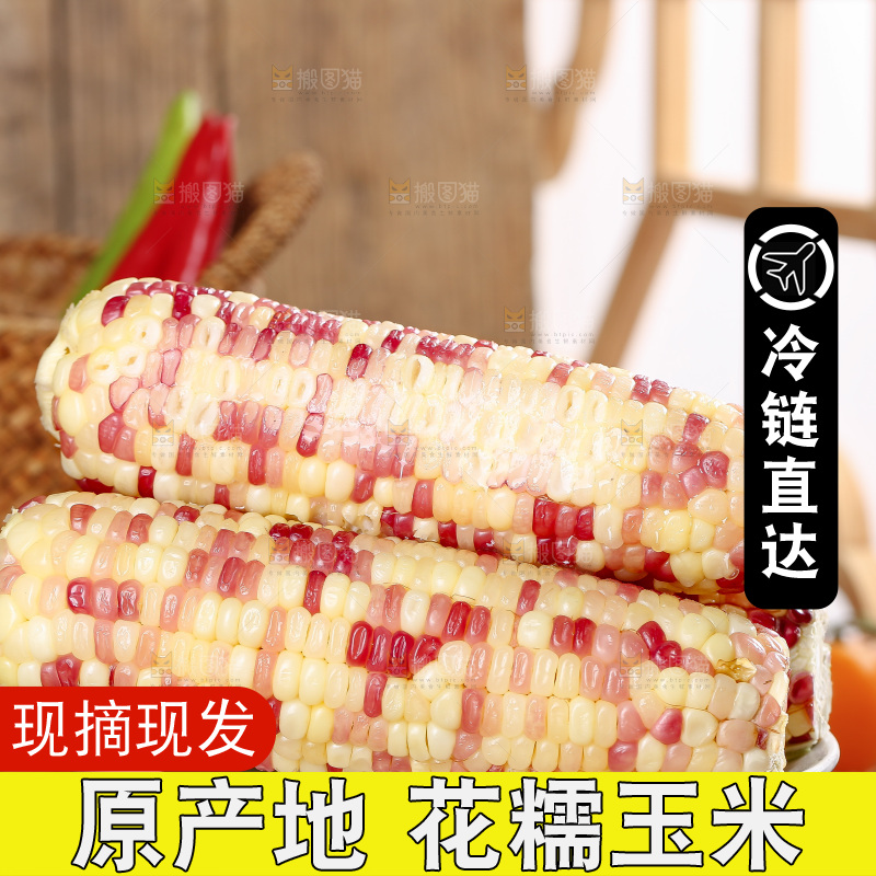 木底上的花糯玉米