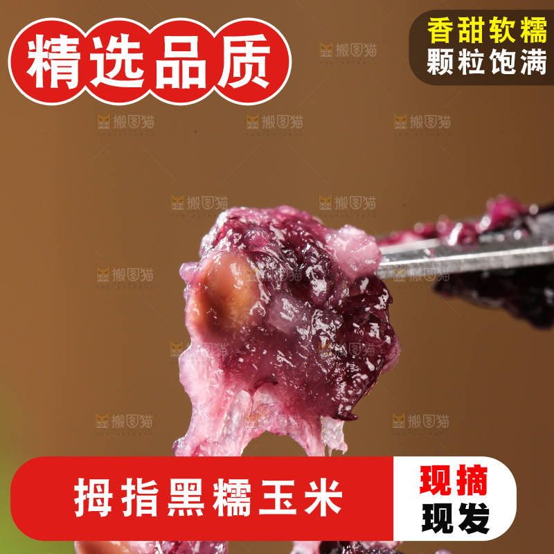 木底上的黑糯拇指玉米