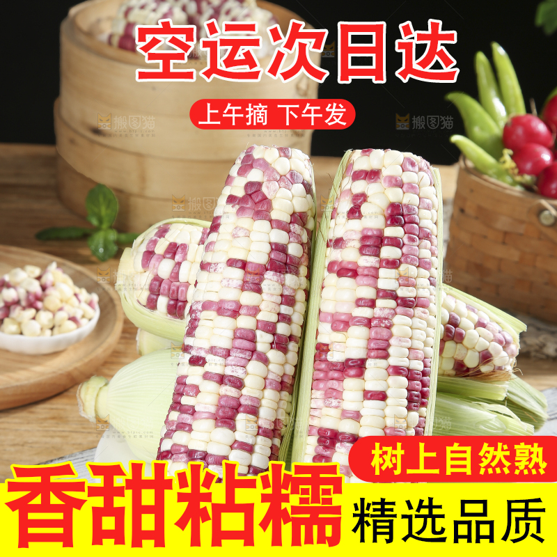 木底上的花糯玉米