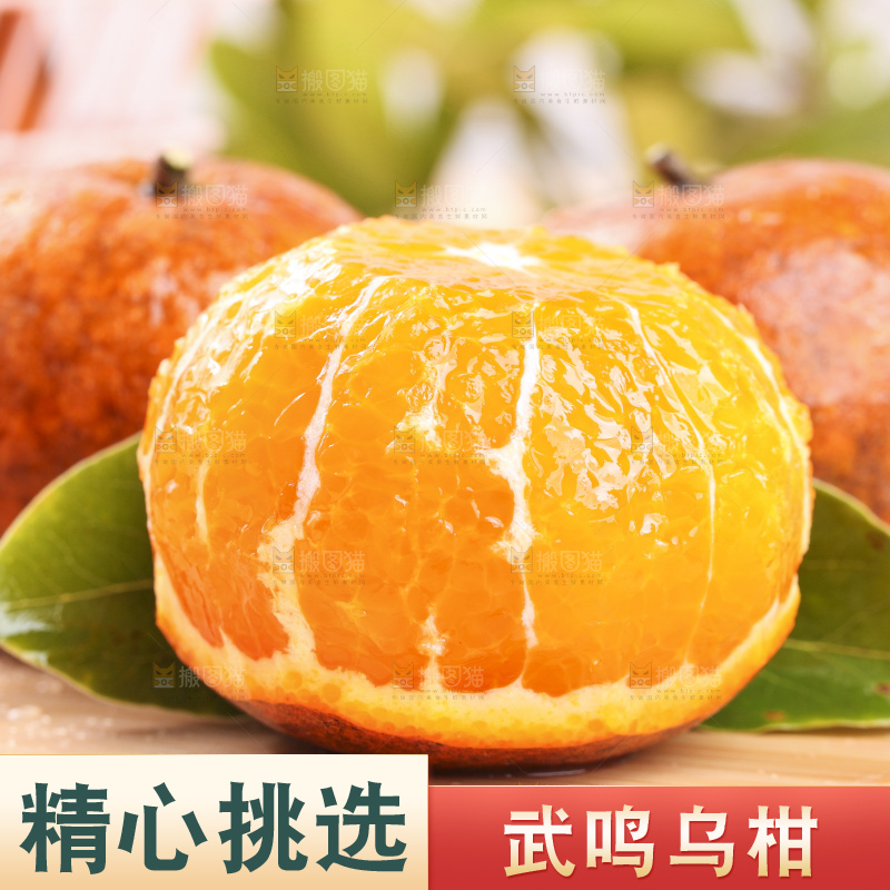 浅底上的乌柑