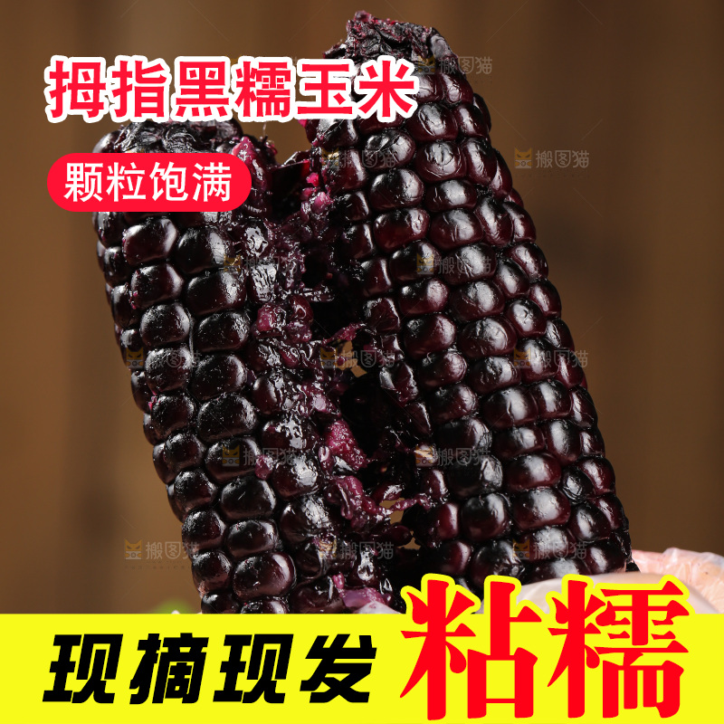 木底上的黑糯拇指玉米
