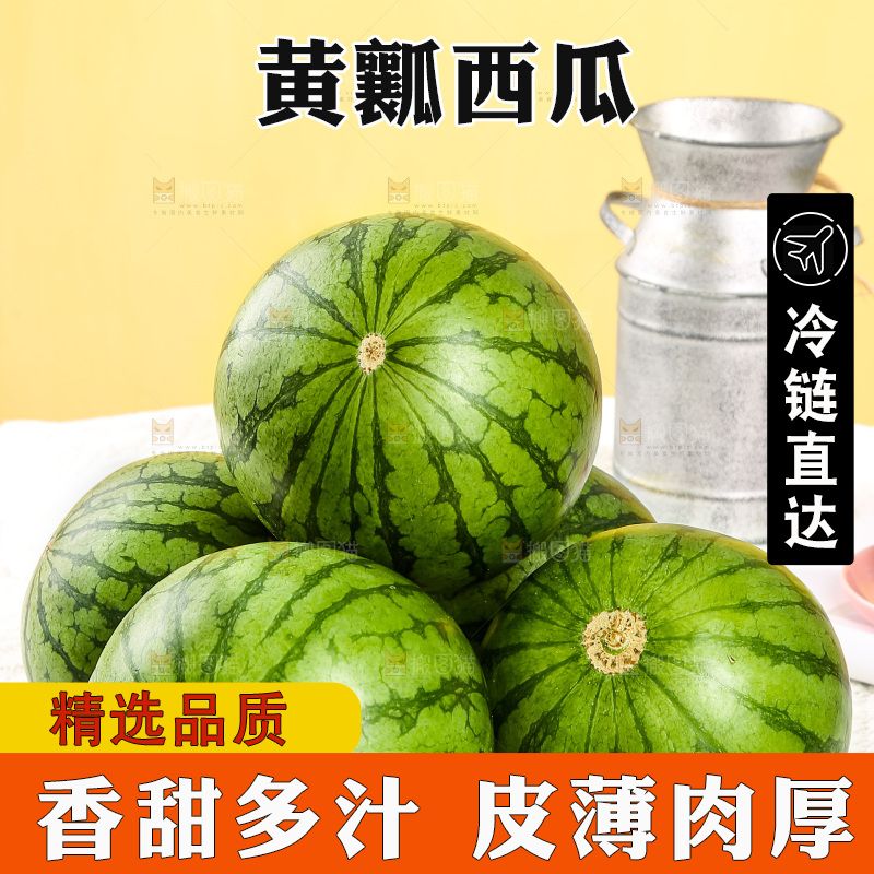 浅底上的黄瓤西瓜