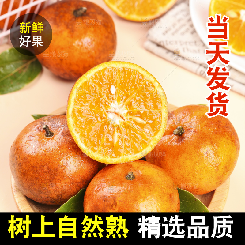 浅底上的乌柑