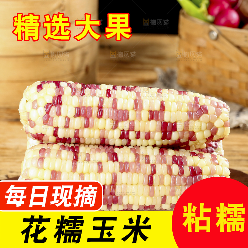 花糯玉米主图