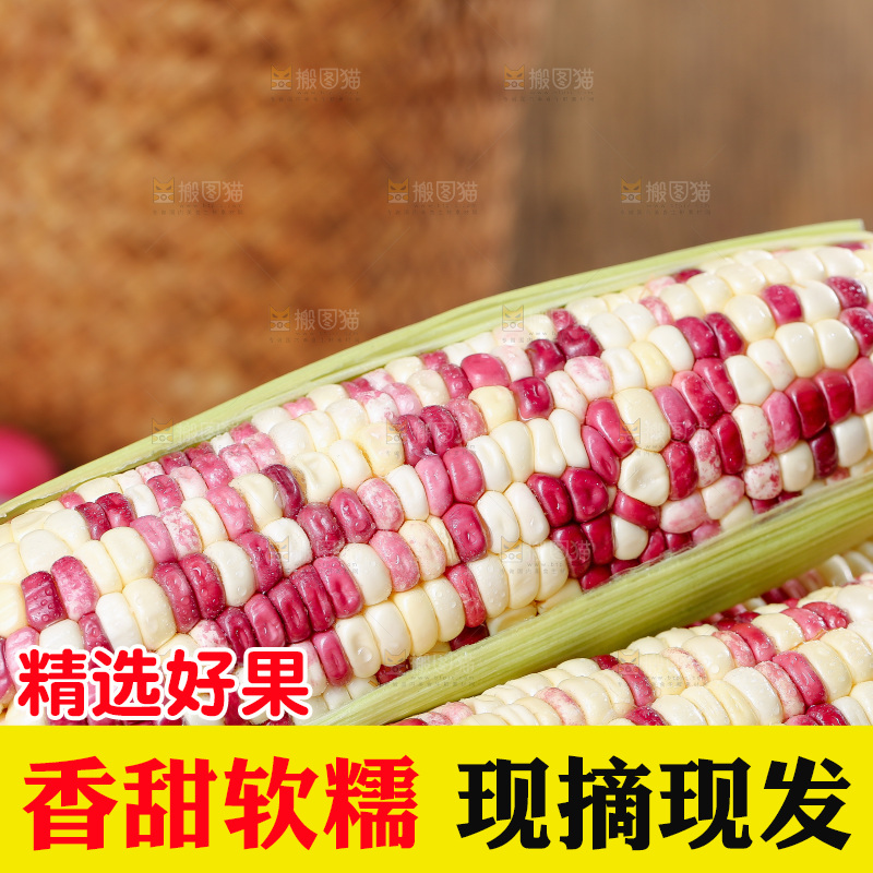 木底上的花糯玉米
