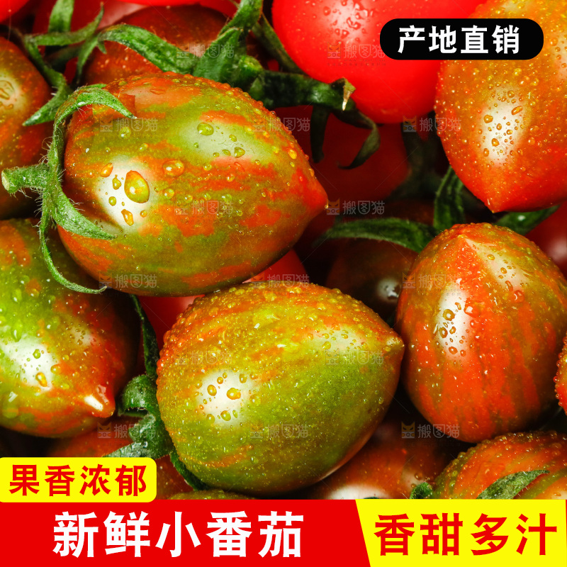 白底上的三色圣女果