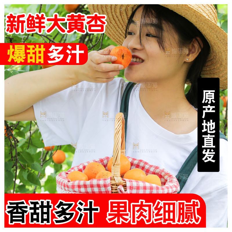 手里拿着新鲜大黄杏