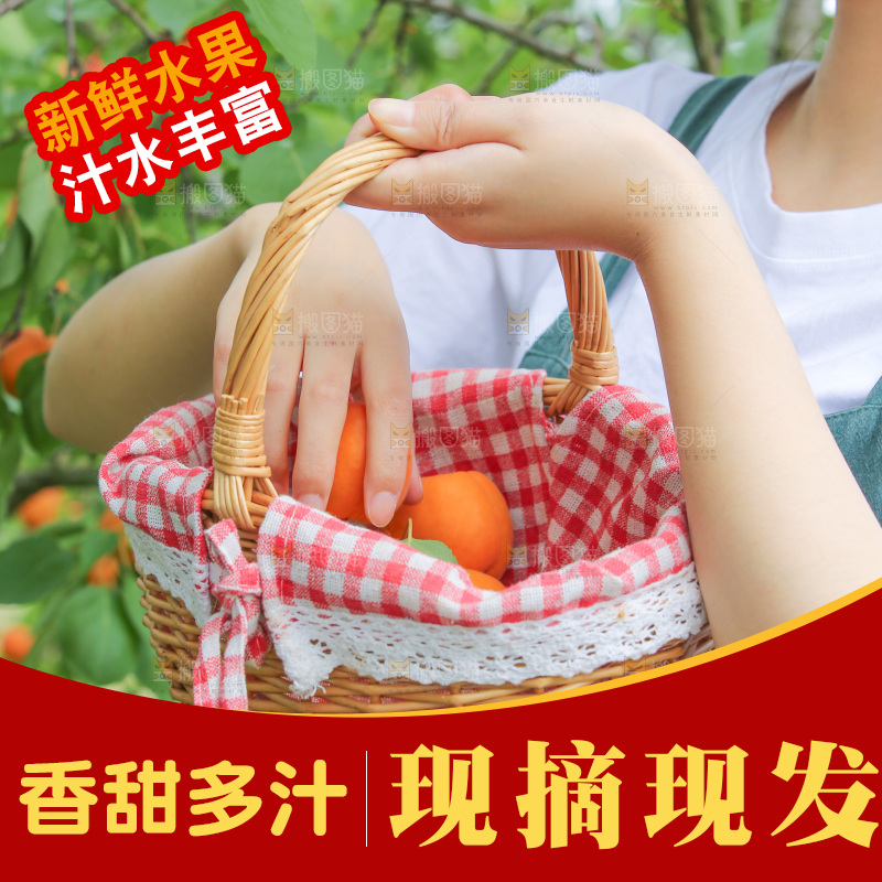 手里拿着新鲜大黄杏