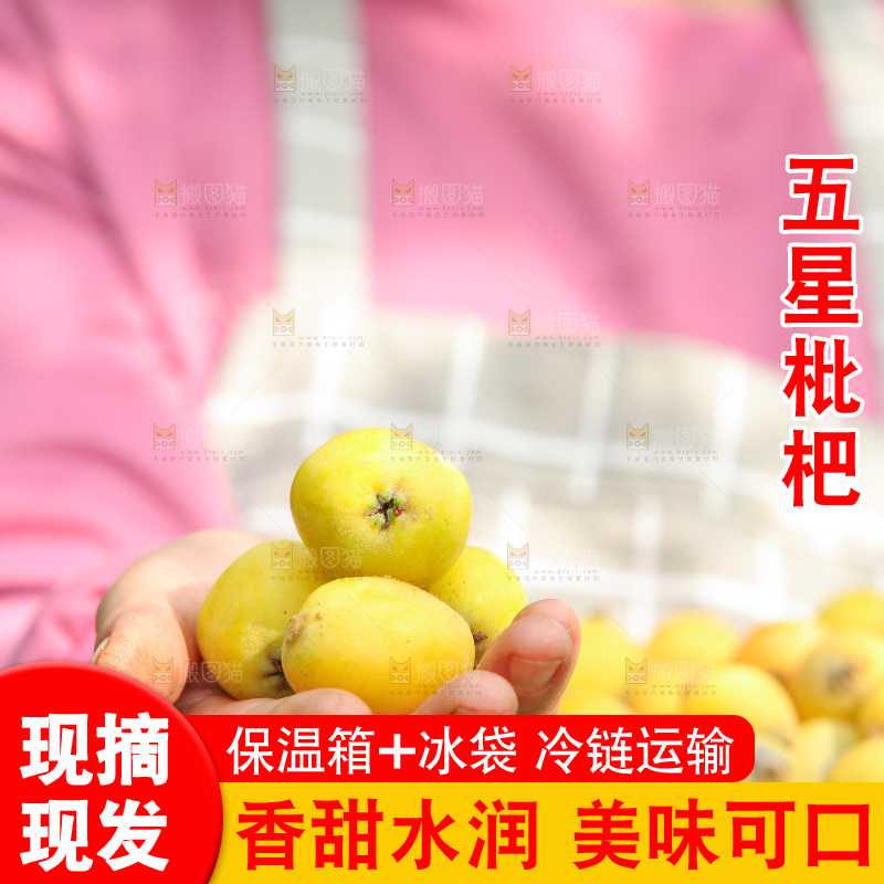 手里拿着现摘枇杷