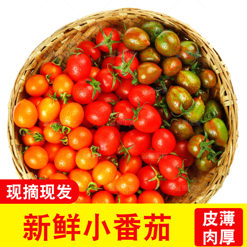 白底上的三色圣女果