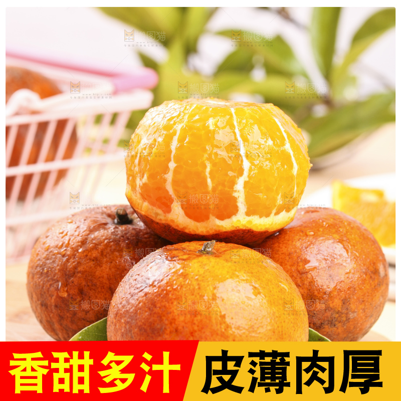 浅底上的乌柑