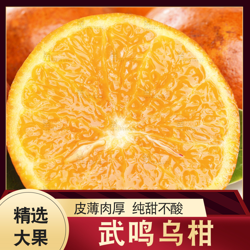 浅底上的乌柑