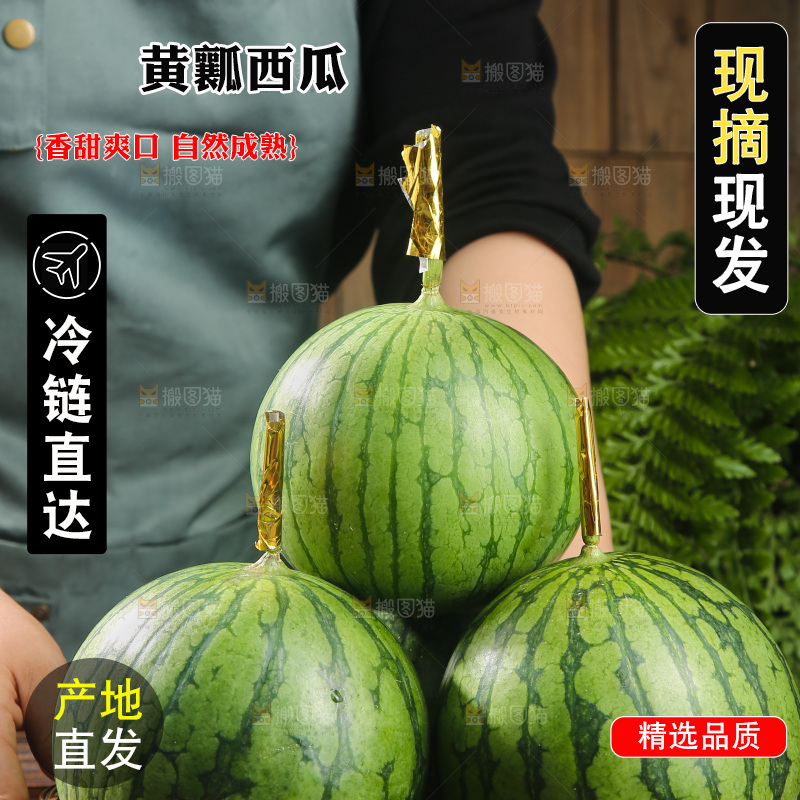 木底上的小西瓜