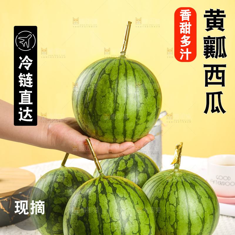 浅底上的黄瓤西瓜