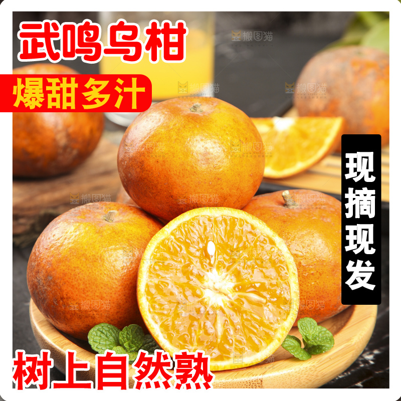 深底上的乌柑