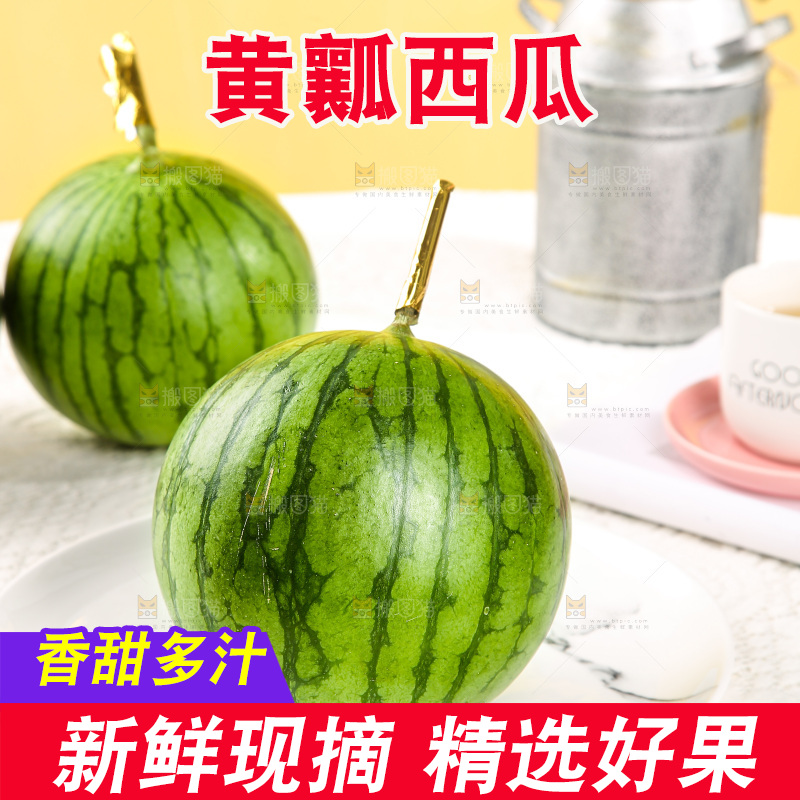 浅底上的黄瓤西瓜