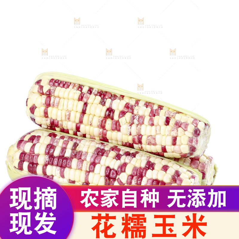 白底上的花糯玉米