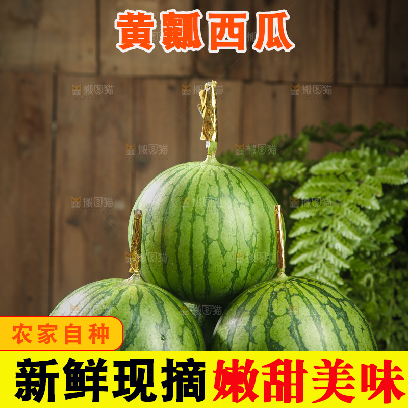 木底上的小西瓜