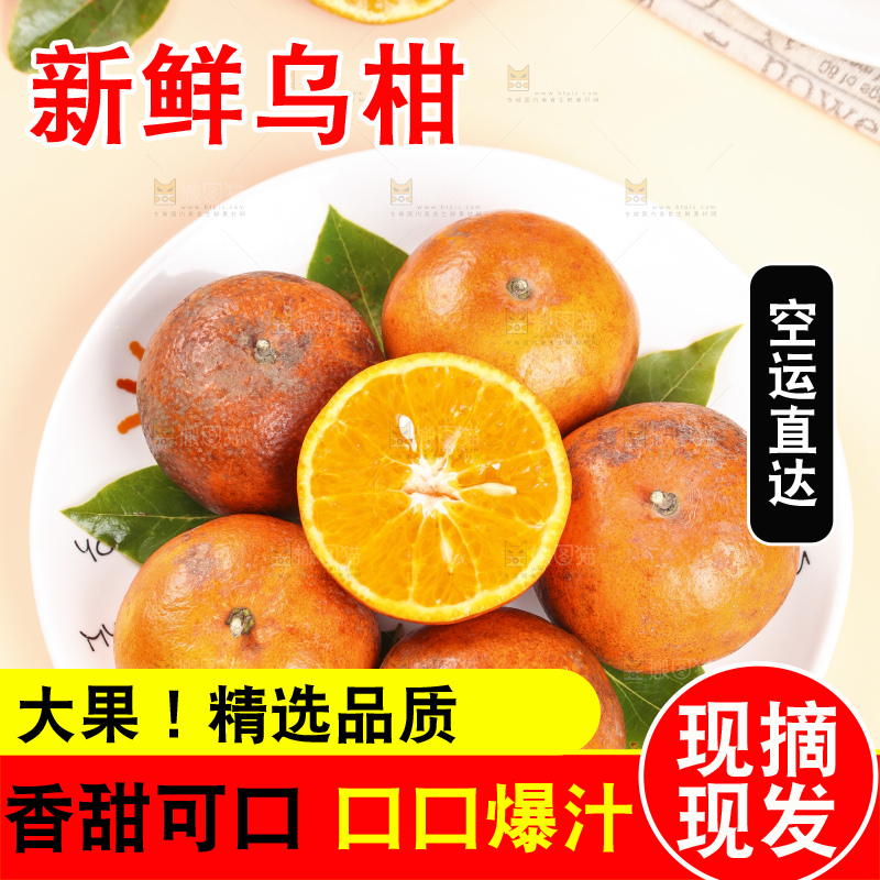浅底上的乌柑