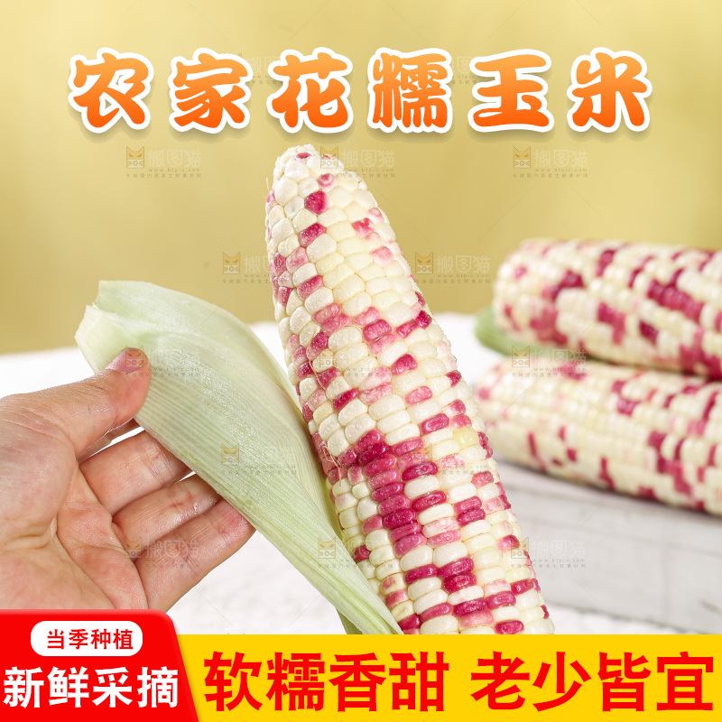 浅底上的花糯玉米
