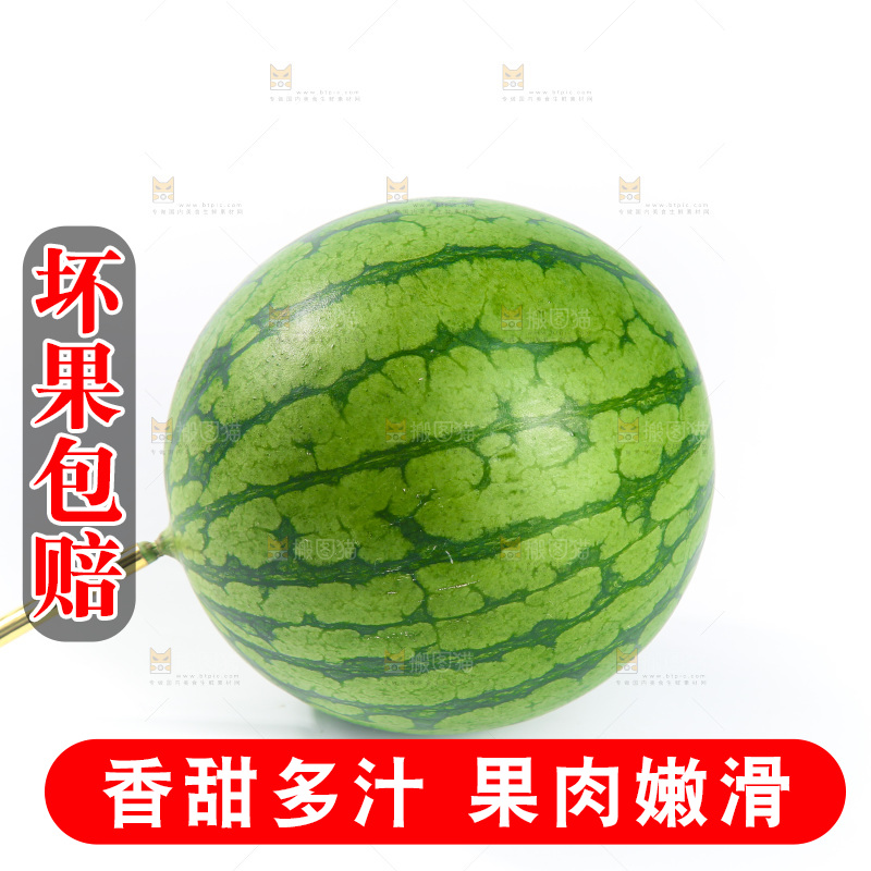 白底上的小西瓜