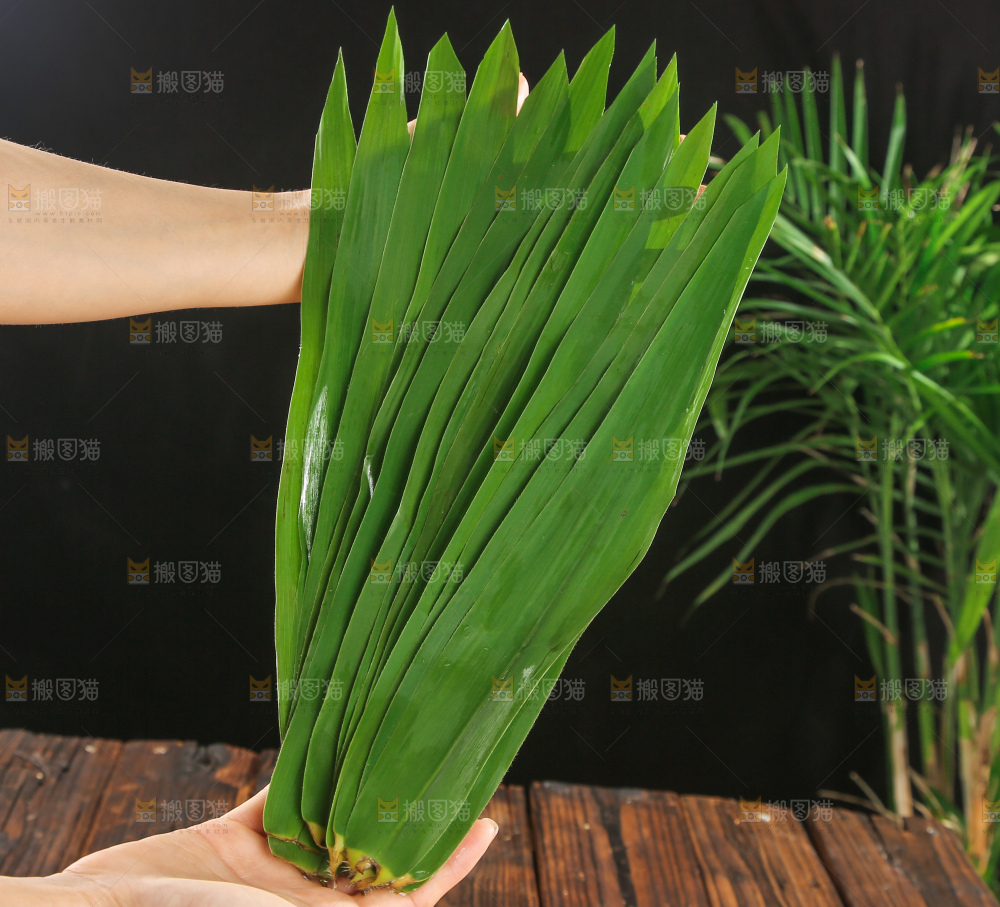 深底上的新鲜粽叶