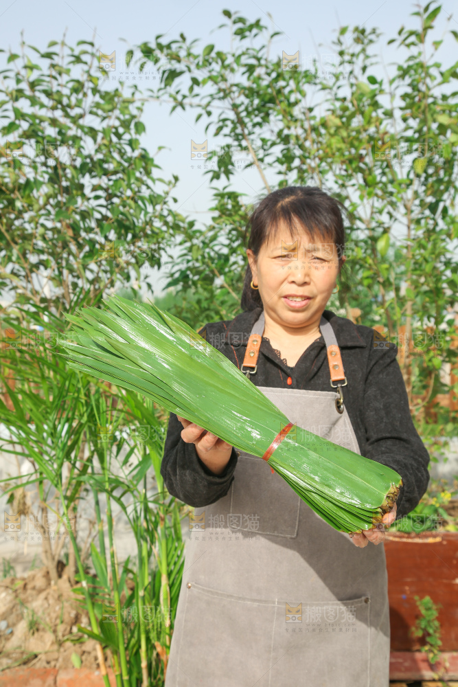 深底上的新鲜粽叶