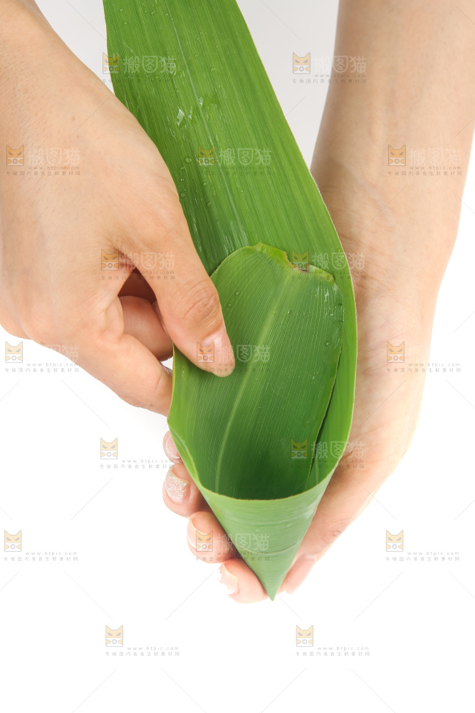 白底上的新鲜粽叶