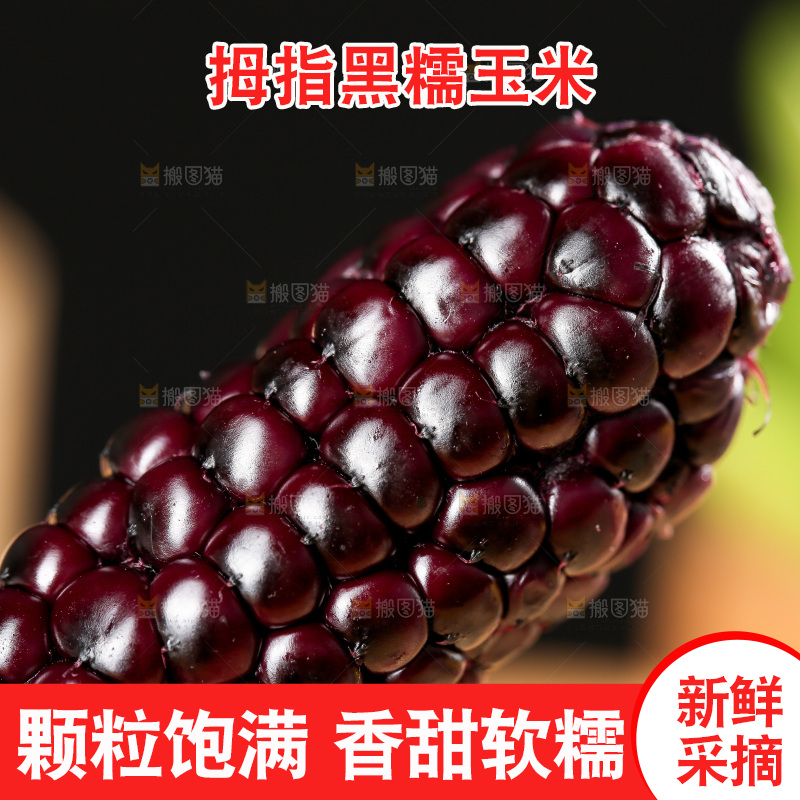 木底上的黑糯拇指玉米