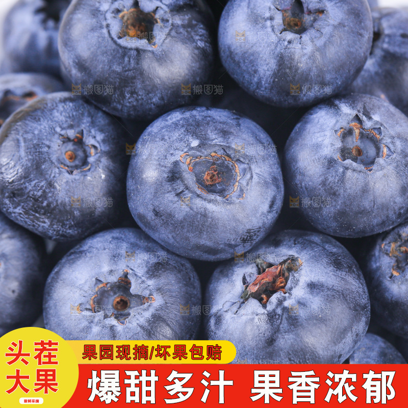浅底上的怡颗莓