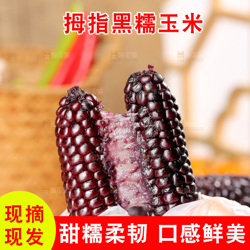 木底上的黑糯拇指玉米
