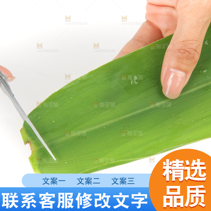 白底上的新鲜粽叶
