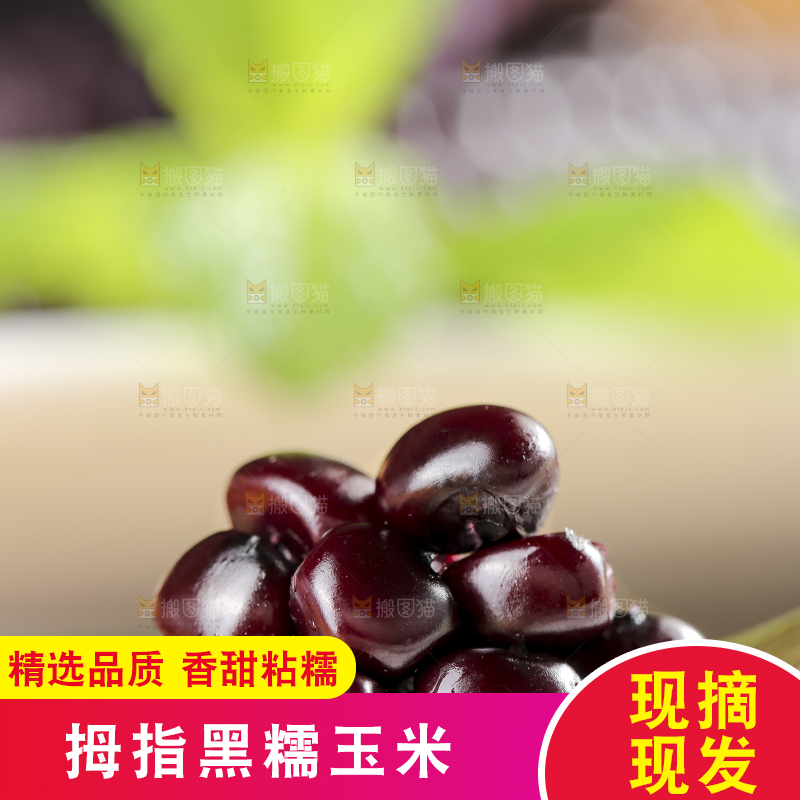 木底上的黑糯拇指玉米