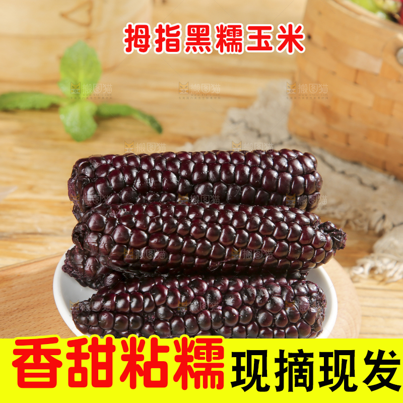 木底上的黑糯拇指玉米
