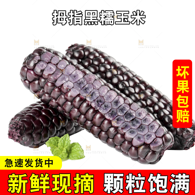 白底上的黑糯拇指玉米