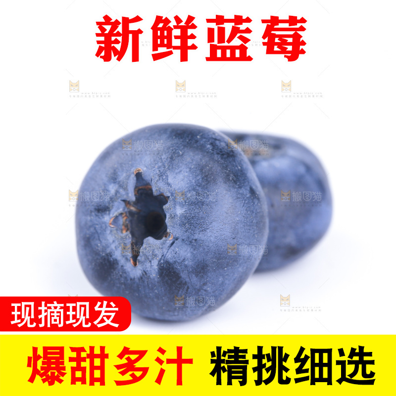 白底上的怡颗莓