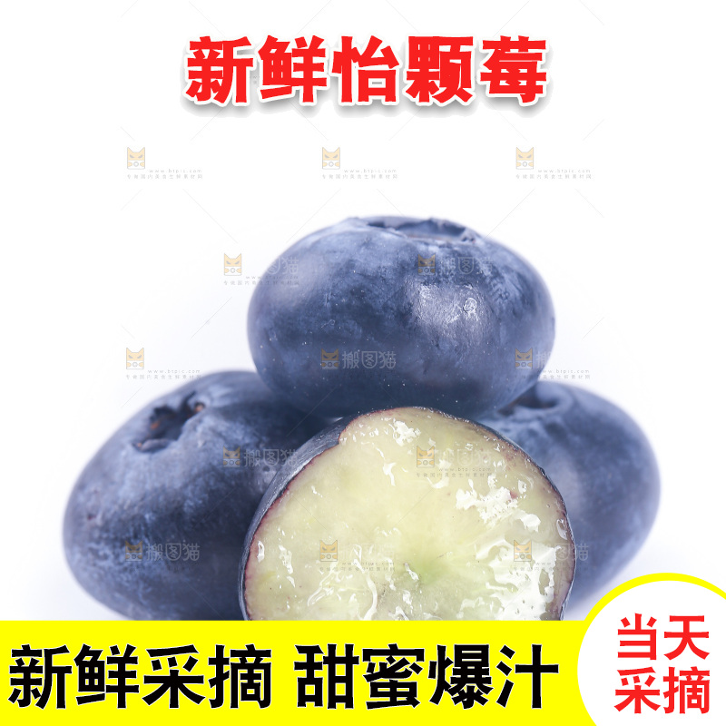 白底上的怡颗莓