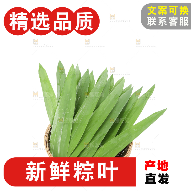 白底上的粽叶