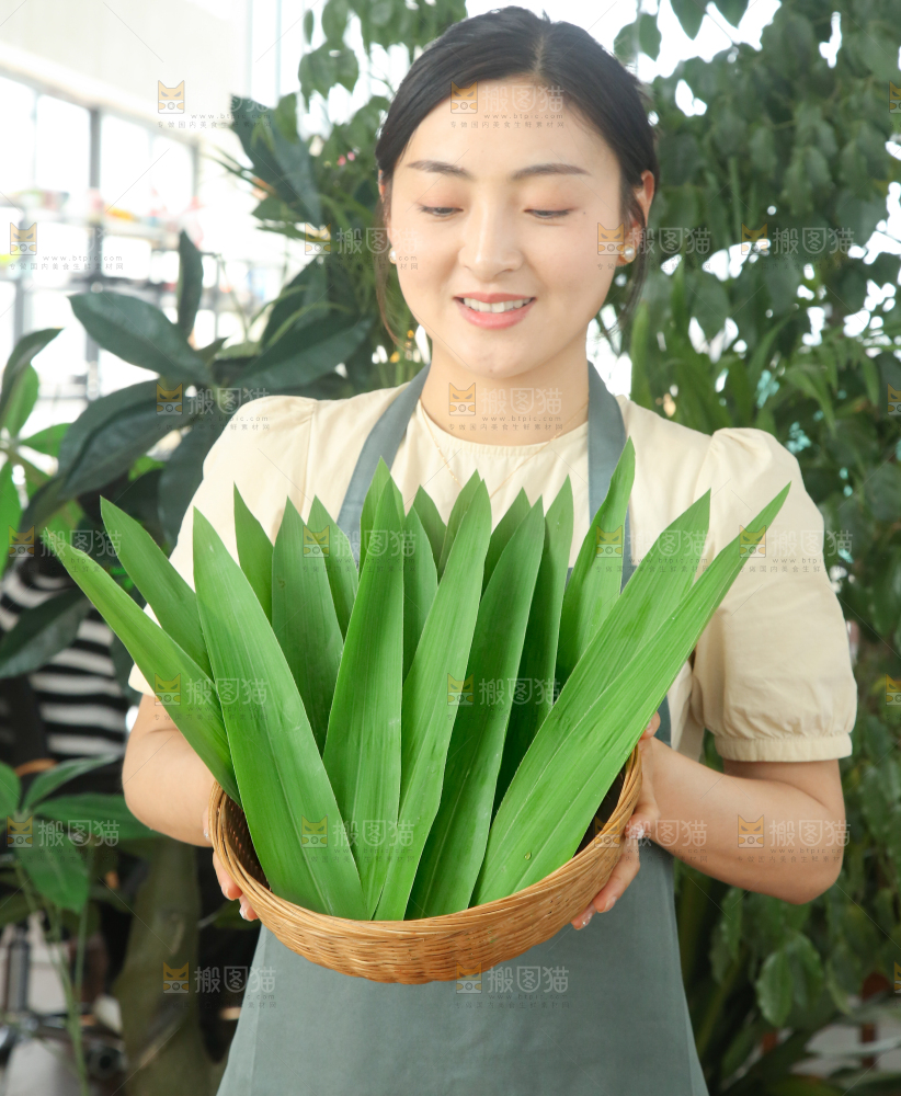 手里拿着新鲜粽叶