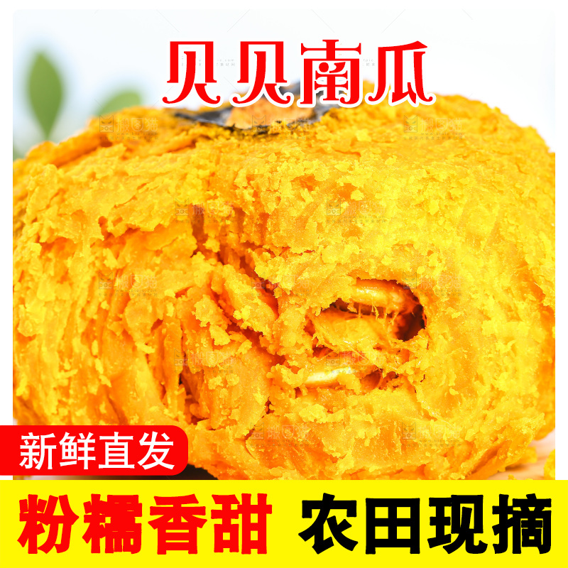 浅底上的贝贝南瓜