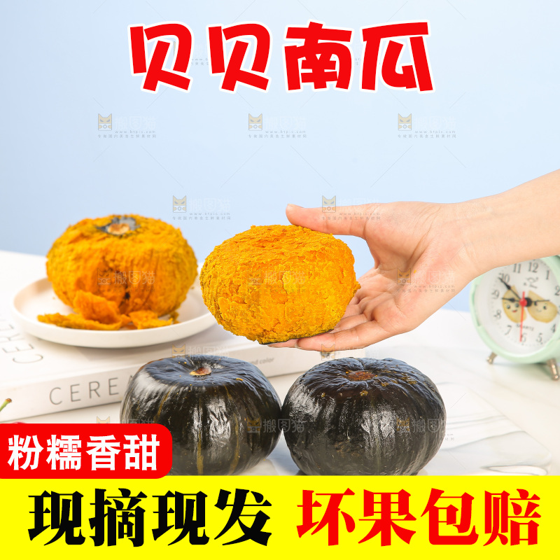 浅底上的贝贝南瓜