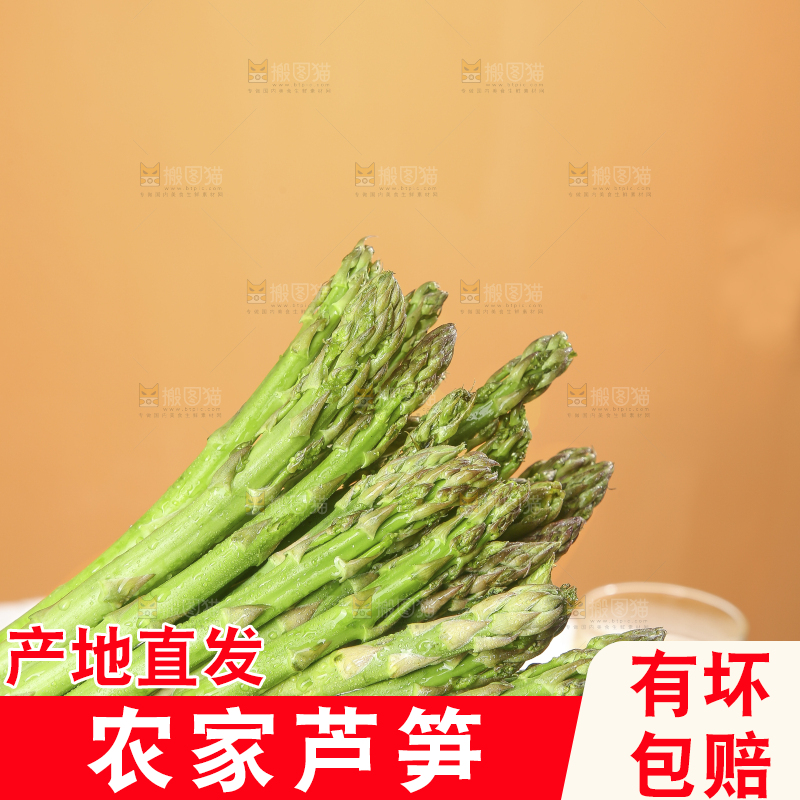 浅底上的青芦笋