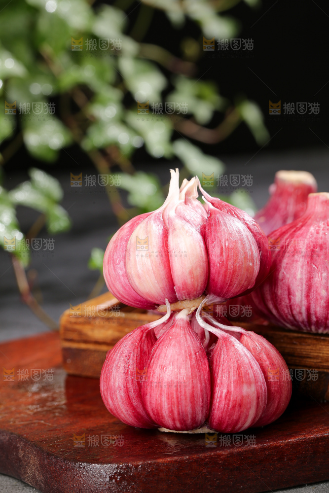 深底上的紫皮大蒜