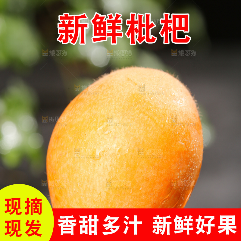 深底上的枇杷