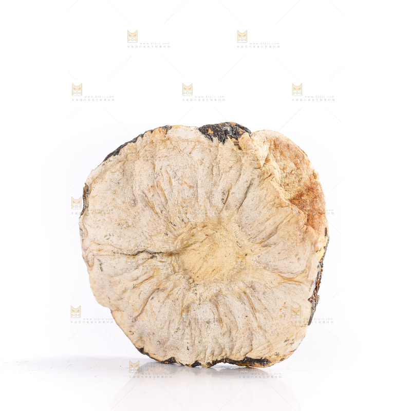 白底上的玛卡