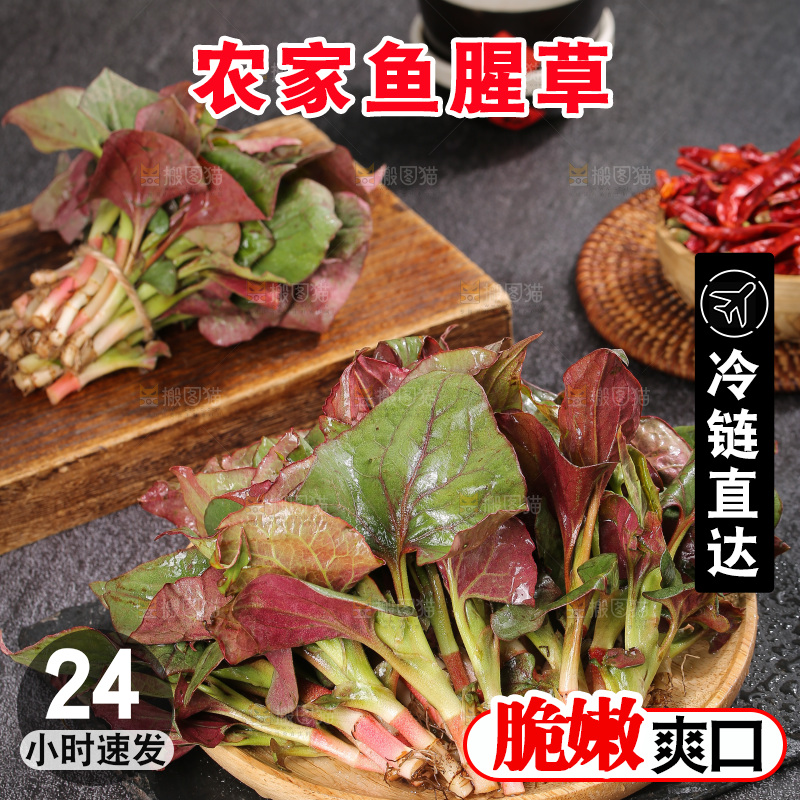 深底上的鱼腥草叶