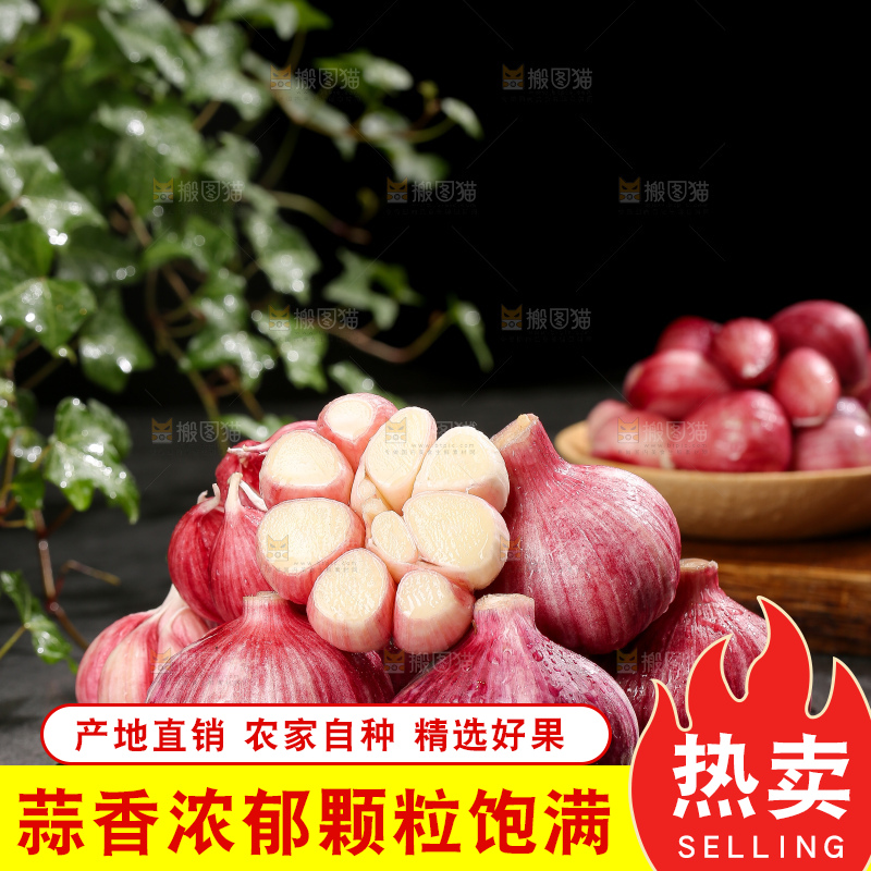 深底上的紫皮大蒜