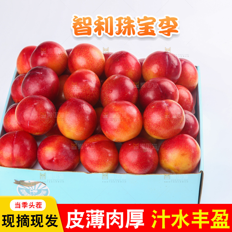 白底上的珠宝李