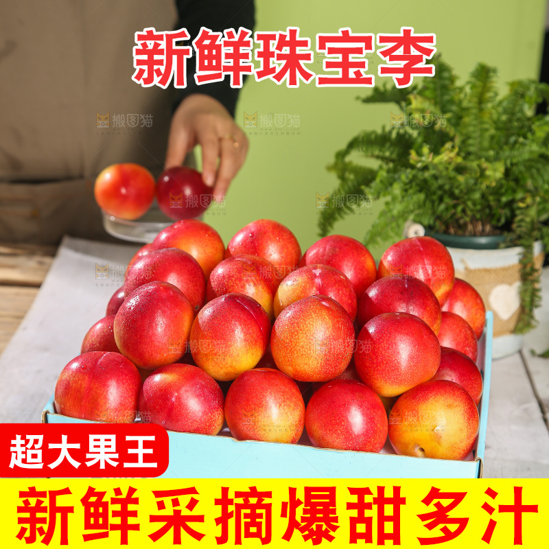 木底上的珠宝李